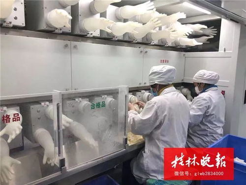 桂林醫療企業緊急復工，運動場館服務全力支持武漢抗疫